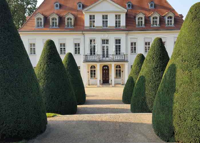 topiary-trees-shrubs