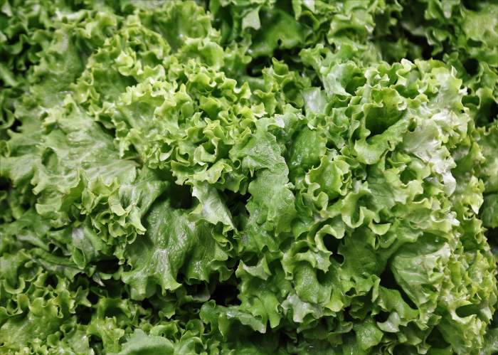 grow-green-leafy-vegetables