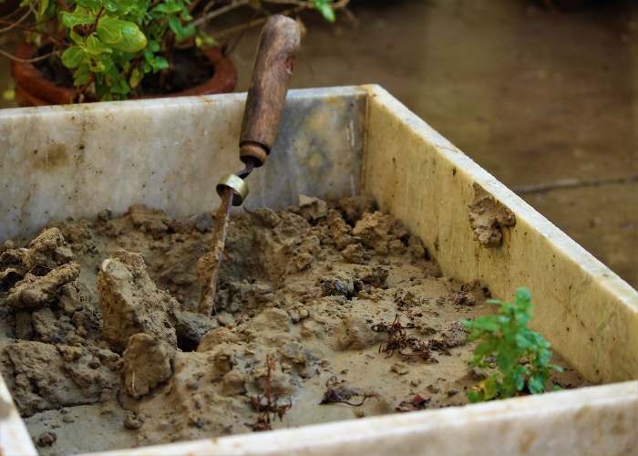 best-fertilizer-for-garden