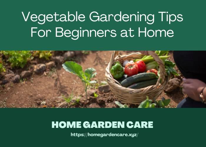 beginners-tips-vegetable-gardening-at-home