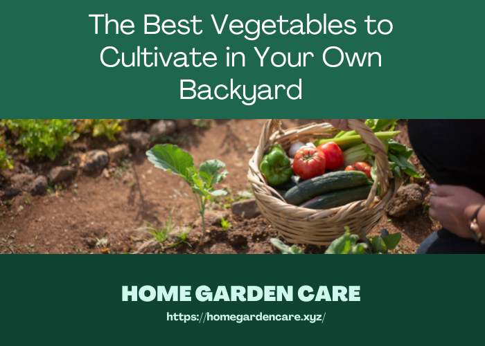 best-vegetables-to-cultivate-backyard
