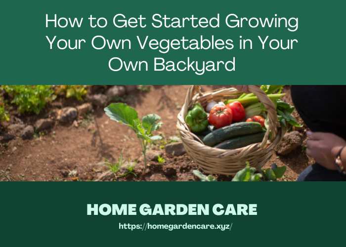 get-started-growing-vegetables-backyard