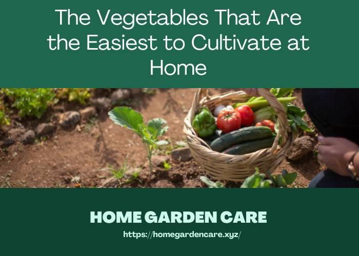 vegetables-easiest-to-cultivate-at-home
