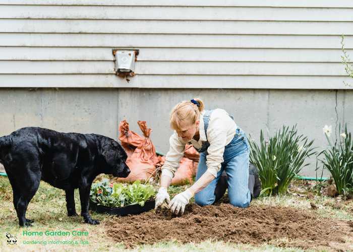 caring-for-seedlings-vegetable-garden