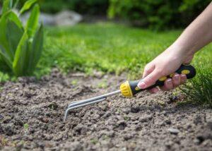 choosing-garden-location