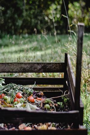 composting-for-backyard-gardens