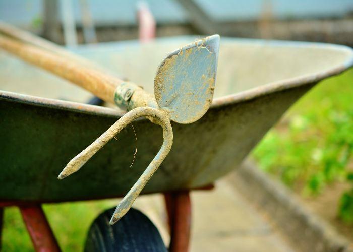 garden-hoe-home-vegetable-garden