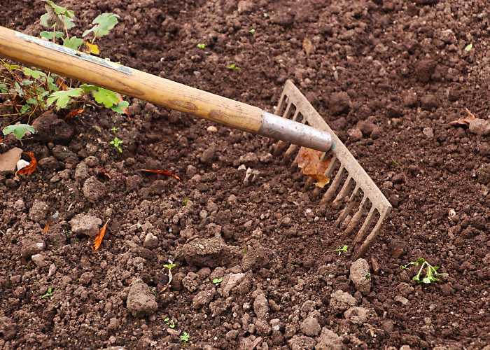 garden-rake-home-vegetable-garden
