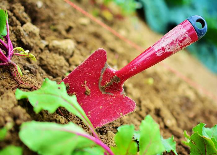garden-trowel-home-vegetable-garden