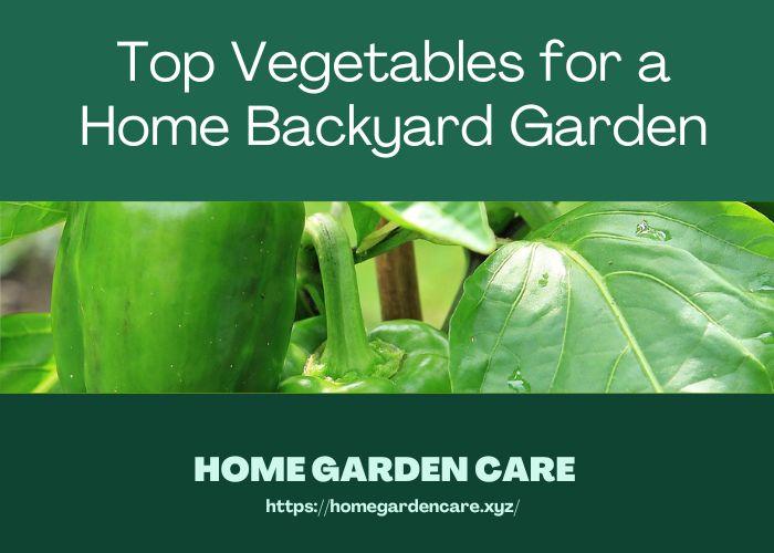 top-vegetables-home-backyard-garden