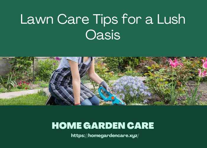 lawn-care-tips-lush-oasis
