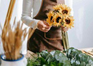 popular-vegetables-sunflowers