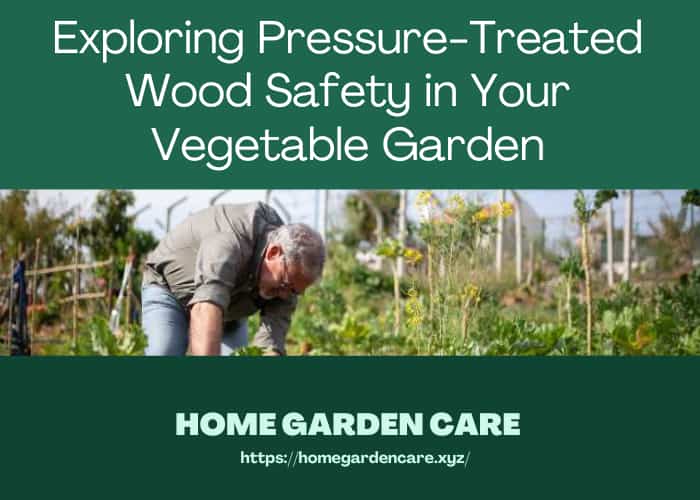 pressure-treated-wood-safety