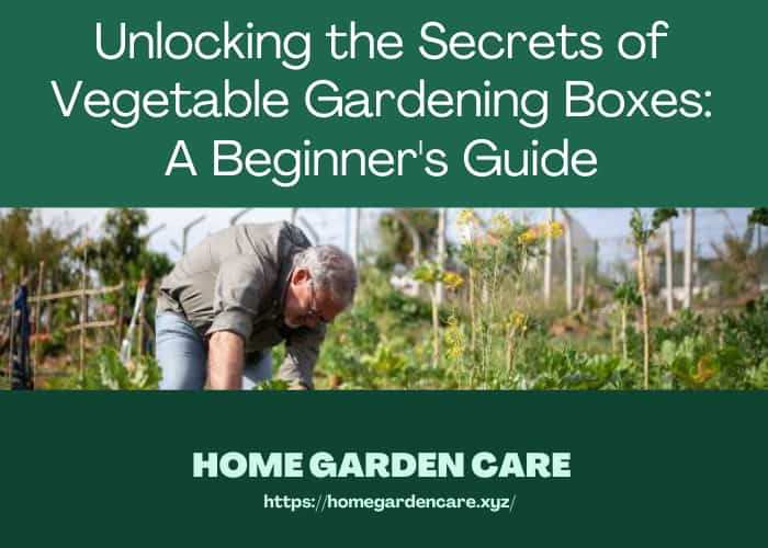 secrets-vegetable-gardening-boxes