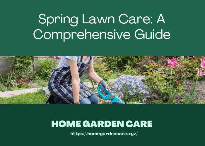 spring-lawn-care-guide