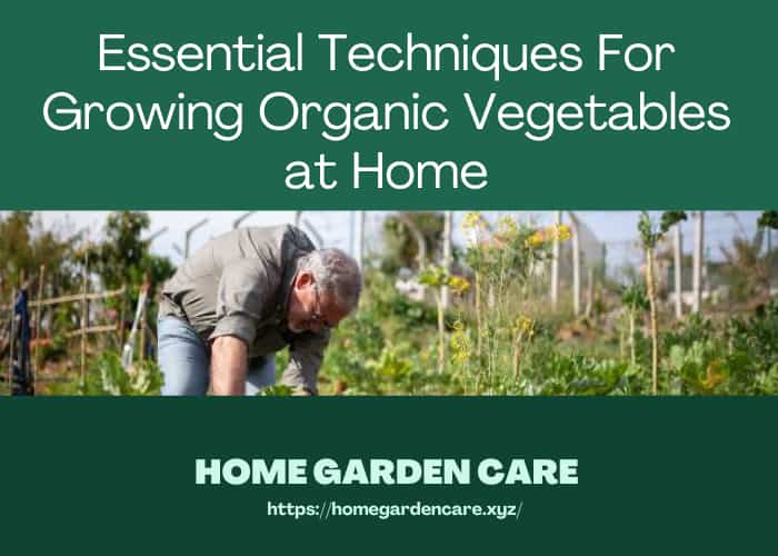 techniques-growing-organic-vegetables-home