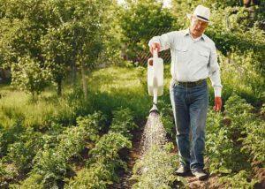 Man watering plants with a hose in a lush garden.