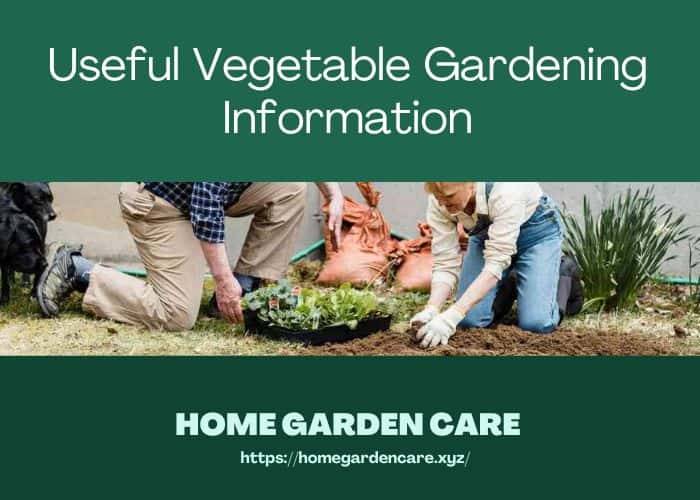 Two people gardening with plants; informative poster about vegetable gardening.
